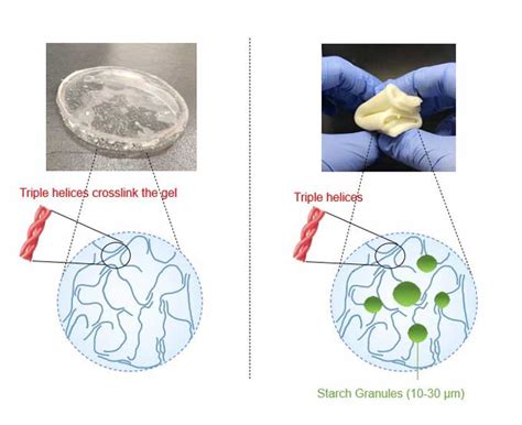 what is a hydrogels